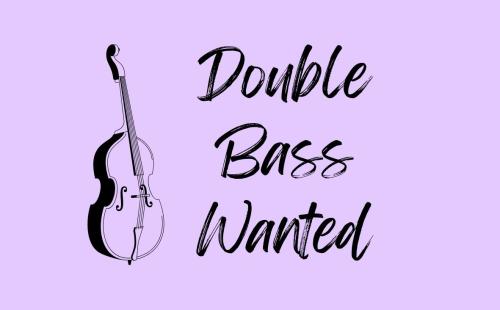 A graphic image of a double bass, with the words 