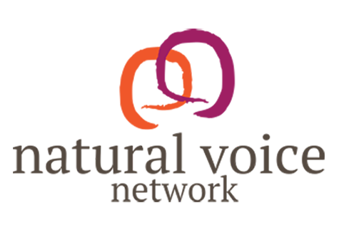 NVN logo