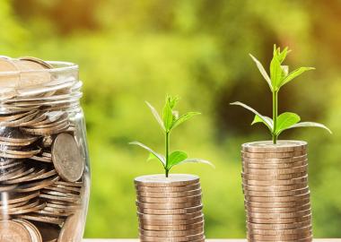 Coins in a glass jar and two stacks of coins with seedling growing on top.