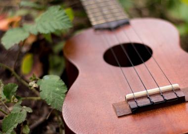 A brown ukulele lies among leaves on the ground