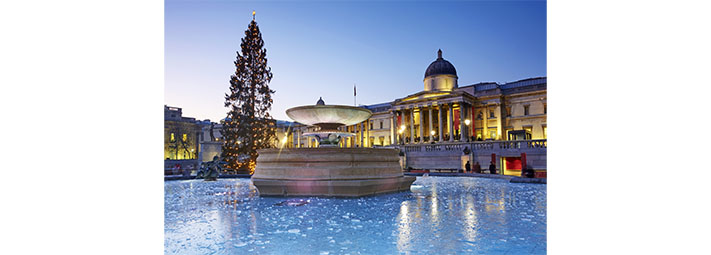 A Christmas tree in Trafalgar Square